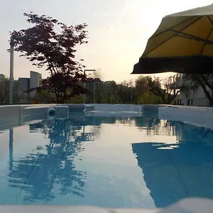 Hotel Palace & La Conchiglia D' Oro